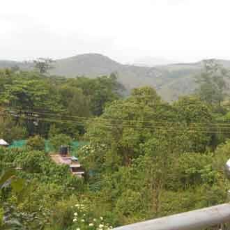 Lael Koodarathil Homestay, Vagamon 5